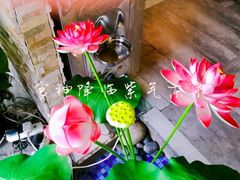 -蕃茄述·好汤自然来(江汉路店)