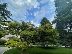 -北京友谊宾馆·俄罗斯餐厅