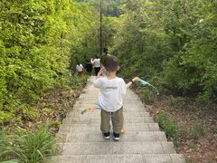 -桃花岭景区