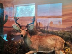 -安徽省地质博物馆