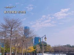 -深圳湾公园(南山区)