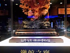 -绮丽珊瑚博物馆(台东店)