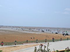 -刘家湾赶海园