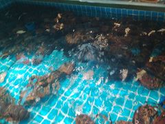-良师门滨海人家·海鲜·家常菜(滨海城店)