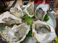 湛江生蚝-金龙·打边炉(武进路店)