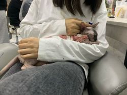 点击看大图 -未来美发·T1M HAIR SALON