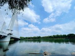-北龙湖湿地公园