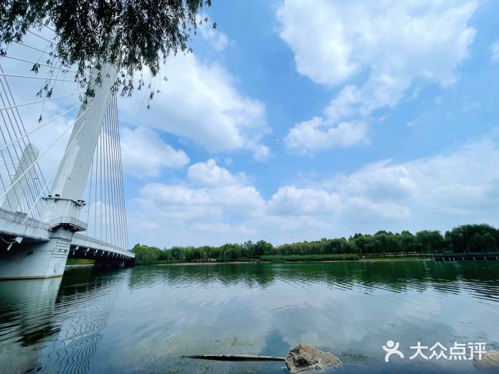 北龙湖湿地公园图片