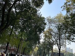 -四川大学(华西校区)