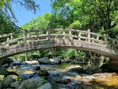-陕西省红河谷森林公园