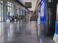 -王权免税店(普吉市区店)