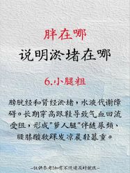 点击看大图 -玛莲朵·海菲秀冰珀科