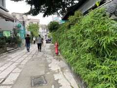 -三溪村
