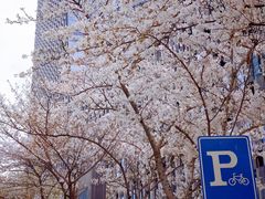 -苏州现代传媒广场商业