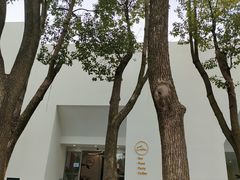 -白马涧龙池景区