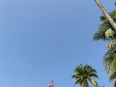 -东郊椰林