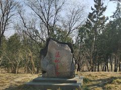 -滨河世纪广场公园