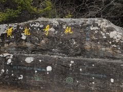-黄龙山原始森林景区