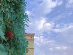 -华谊兄弟（长沙）电影小镇