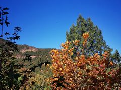 -北京西山国家森林公园