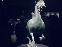 -甘肃省博物馆