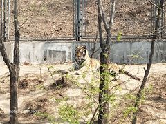 -石家庄市动物园