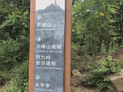 -灵岩山风景区