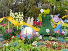 -上海共青森林公园