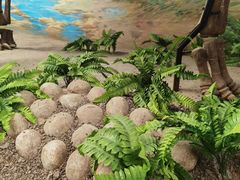 -延庆地质公园博物馆