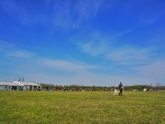 -上海海湾国家森林公园