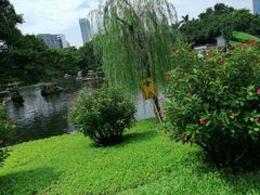 -晓港公园