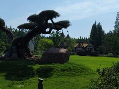 -东平国家森林公园