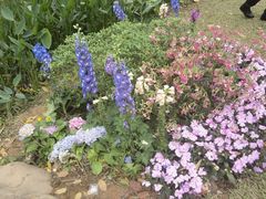 -人民公园(罗湖区)