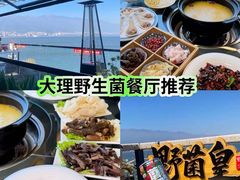 -野菌皇海景野生菌火锅(滨海大道店)