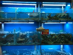 -老村长土菜馆(湖墅南路店)