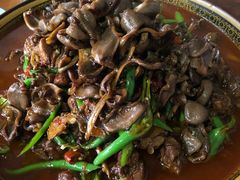 -代木儿回锅肉