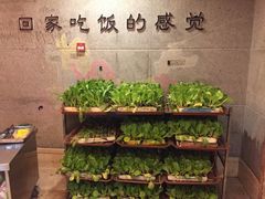 -宣威山野人家·云南菜·菌火锅(金碧店)
