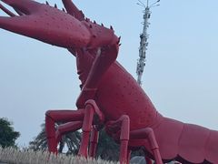 -虾皇(龙虾城旗舰店)