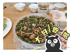 -东吴霸王兔(松青路店)