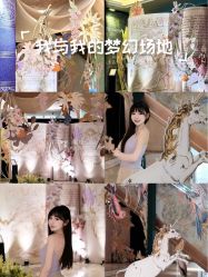 -武汉汉口喜来登大酒店·宴会厅