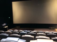 -英皇电影城(平安金融中心IMAX激光店)