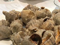 -宾朋海鲜特色美食餐厅·纯手工鲅鱼水饺(兴海路店)