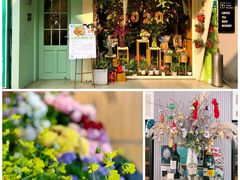 -蝶舍·MAISON PAPILLON