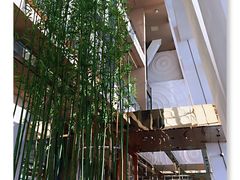-上海柏悦酒店·世纪100牛排馆
