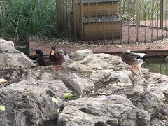 -宣武艺园