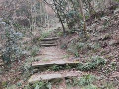 -黄陂区野村谷景区