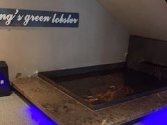 -杨氏青龙虾·羊蝎子(金盛路总店)