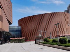 -中国宋庆龄青少年科技文化交流中心