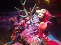 -沈阳海洋探索中心