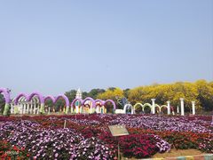 -松山湖南湖湾露营营地